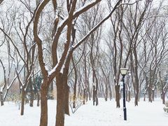 -玲珑塔公园