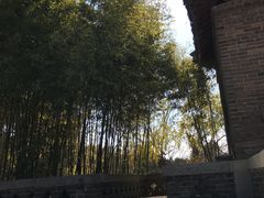 -泰山风景名胜区-普照寺