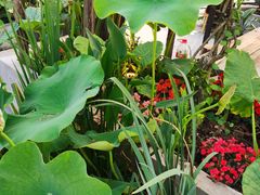 -音乐房子(鎏嘉码头店)