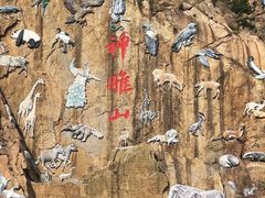 -西霞口神雕山野生动物世界