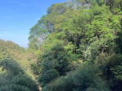 -莫干山风景区