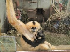-昆明动物园