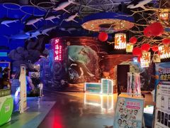 -烟台海昌鲸鲨海洋公园