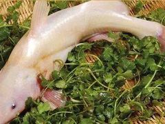 特色鮰鱼-桃园酒店
