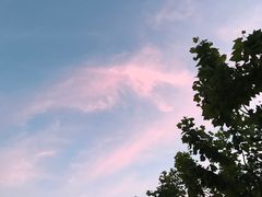-上海德威外籍人员子女学校(浦东校区)