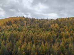 -莫尔道嘎国家森林公园