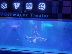 -泉城欧乐堡海洋极地世界
