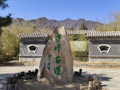 -阳台山自然风景区