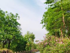 -白鹭湾湿地公园