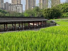 -龙头寺公园