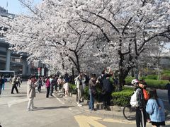 -南浦大桥长途旅游客运站
