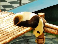 -大连森林动物园