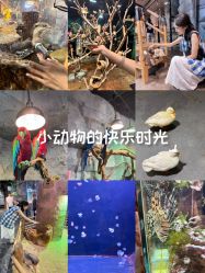 点击看大图 -Zoolung Zoolung动物主题公园(海信广场店)