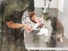 -1013 PET SHOP 宠物商店(近铁城市广场店)
