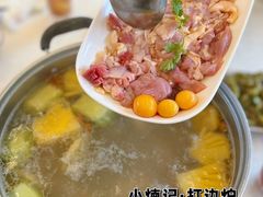 -小煵记·打边炉(西丽文光店)