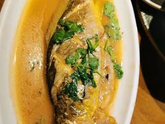 -前海沿·青岛菜(大拇指广场石老人店)