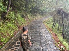 -苍山感通索道