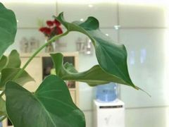 -好大夫口腔(广州店)