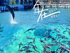 -海南分界洲岛旅游区