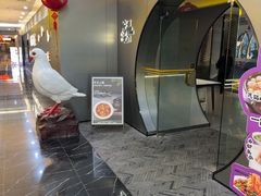 -琬苑鸽庄·川粤融合菜(解放碑总店)