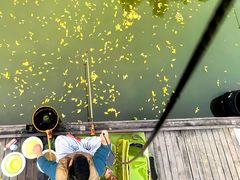 -酷鱼垂钓CLUB(朝阳区博大路店 )