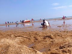 -前王院•巧克力海鲜市集餐厅(万平口店)