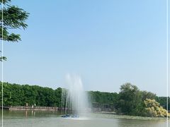 -大湾区中央湿地公园