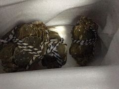 -喜洋洋蟹庄(阳澄湖店)