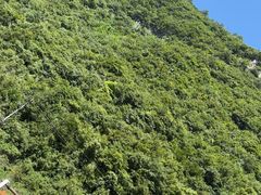 -神龙峡风景区