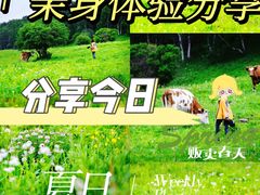 -百里天路