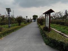 -菊园百果园