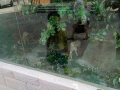 -无锡市南长街小学