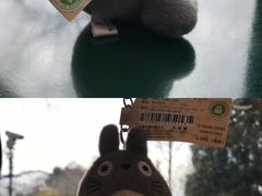 -三鹰之森吉卜力美术馆