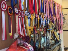 -重庆和泰马术俱乐部