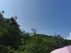 -府君山公园