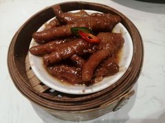 -南枝记