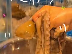 -喜来酌海鲜·饺子(和平一店)