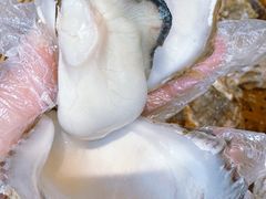 -蚝堡·生蚝海鲜烧烤物种起源•海肠捞饭(刘公岛店)