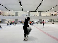 -TheRink大零溜冰场(IFS国金中心店)
