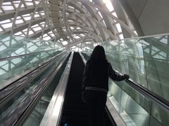 -凤凰中心
