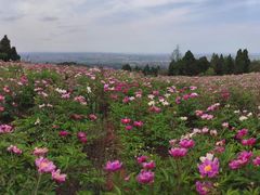 -金堂县云顶石城风景区