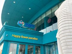 -幸福花欢乐世界(东辰广场A座店)