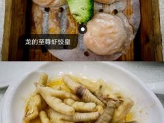 -龙的酒楼·手工早茶·顺德菜(近良路店)