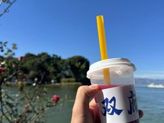 -南诏风情岛