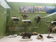 -国家自然博物馆