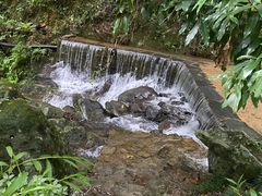 -梧桐山风景名胜区