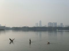 -海珠湖公园