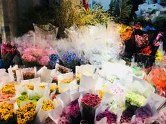 -循礼门鲜花花市(武汉循礼门店)