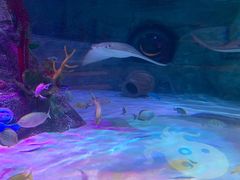 -沈阳海洋探索中心