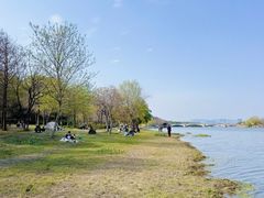 -长广溪湿地公园